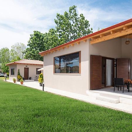 Athos View - Golden Fig Sykia Lodge Paralia Sikias Exterior foto