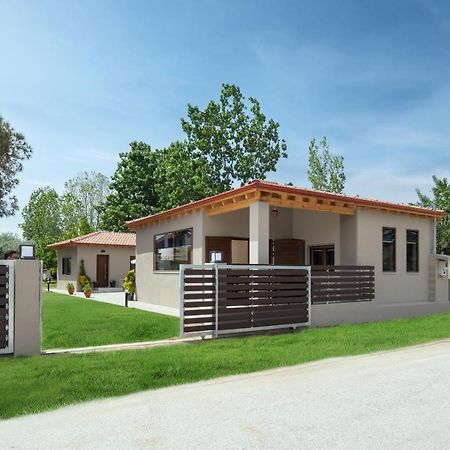 Athos View - Golden Fig Sykia Lodge Paralia Sikias Exterior foto