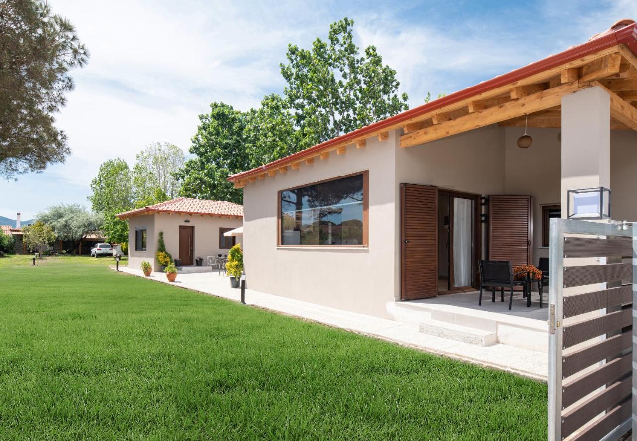 Athos View - Golden Fig Sykia Lodge Paralia Sikias Exterior foto