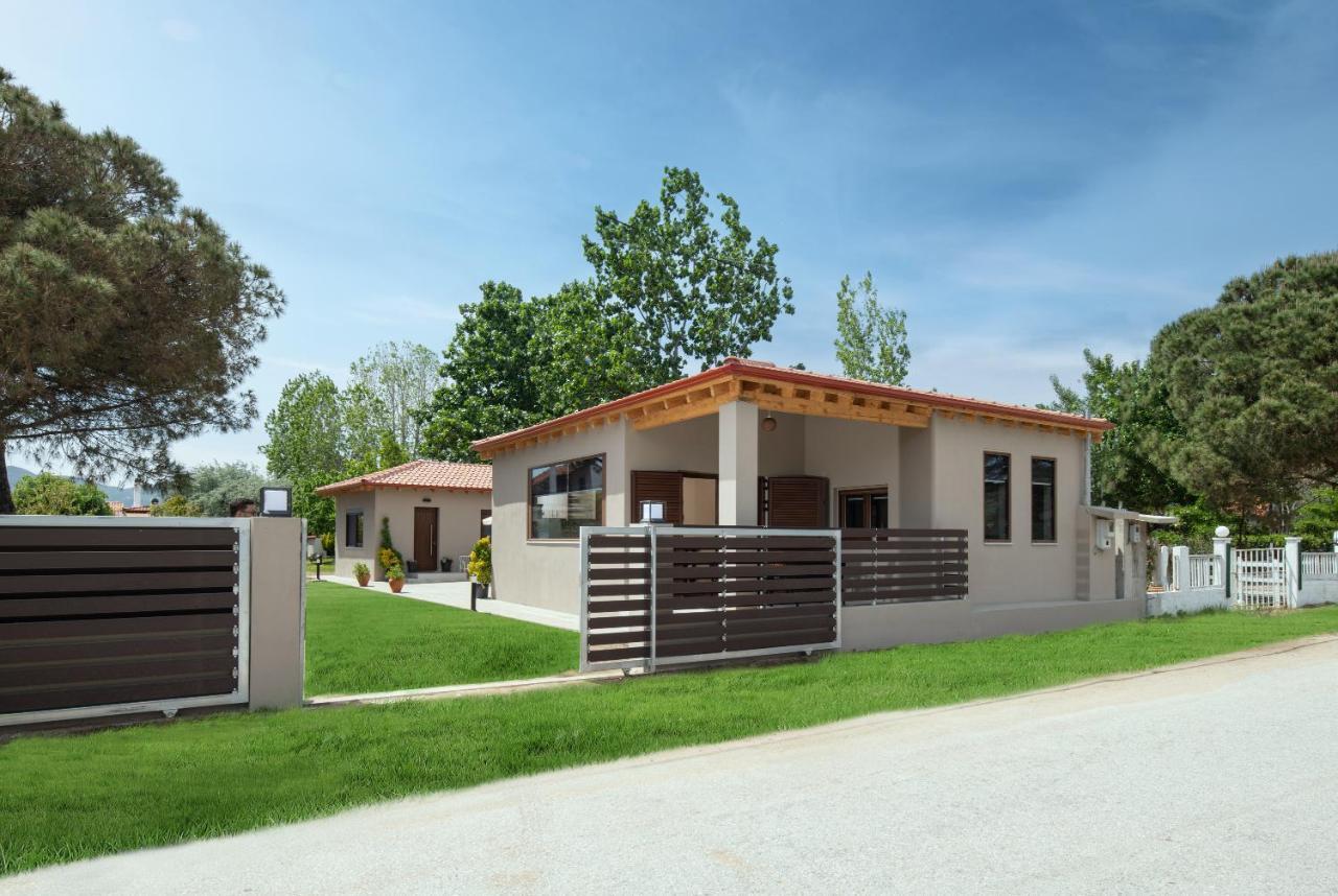 Athos View - Golden Fig Sykia Lodge Paralia Sikias Exterior foto